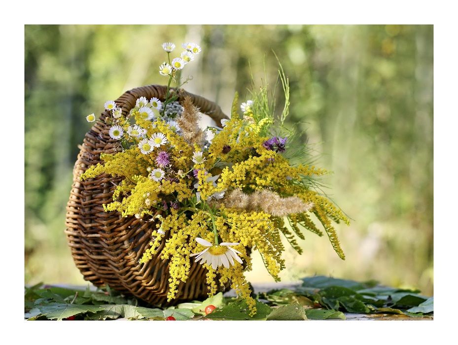 Verlassen Sommer Bouquet