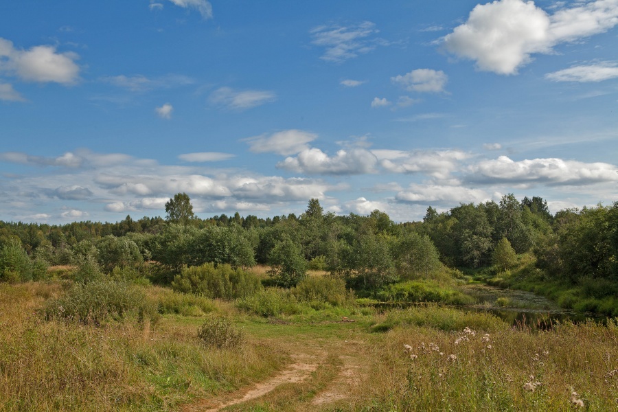 Bäume, Flüsse, Wolken.