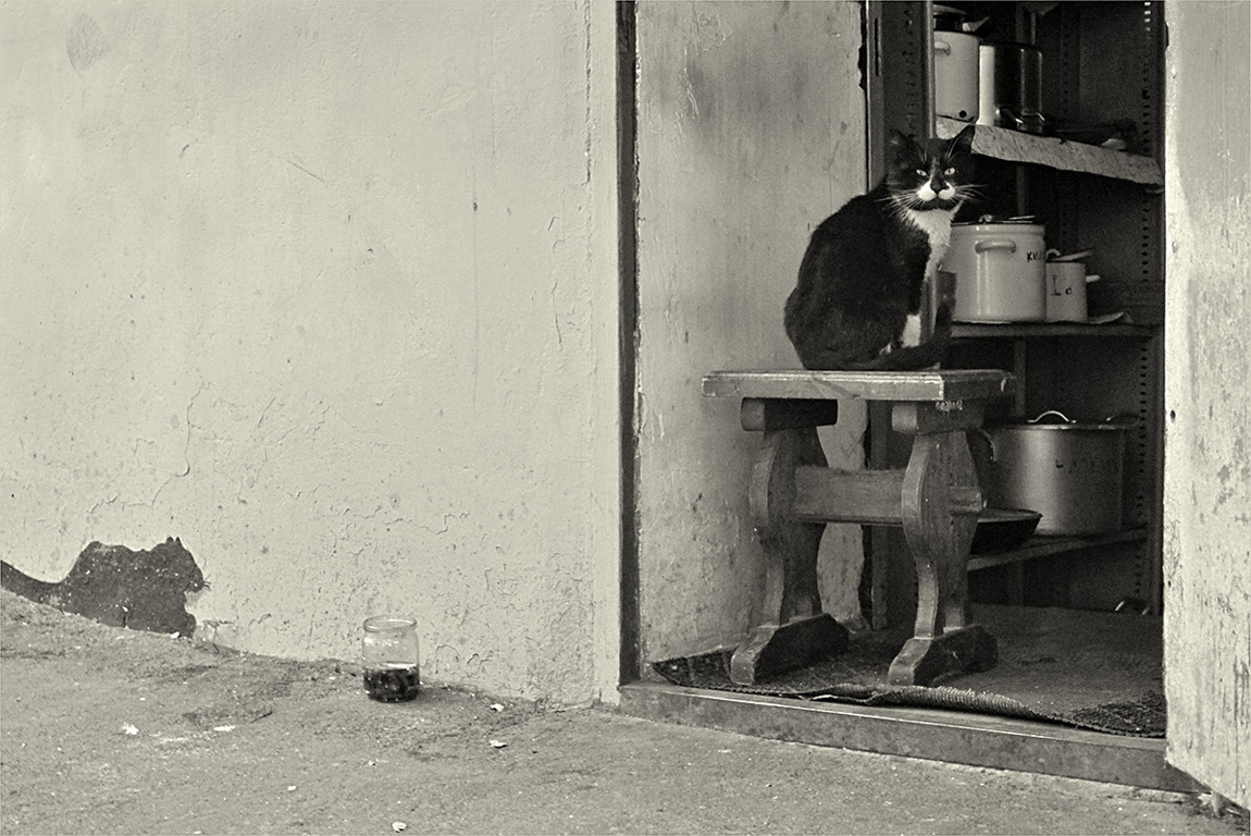 Pan unter Kontrolle!