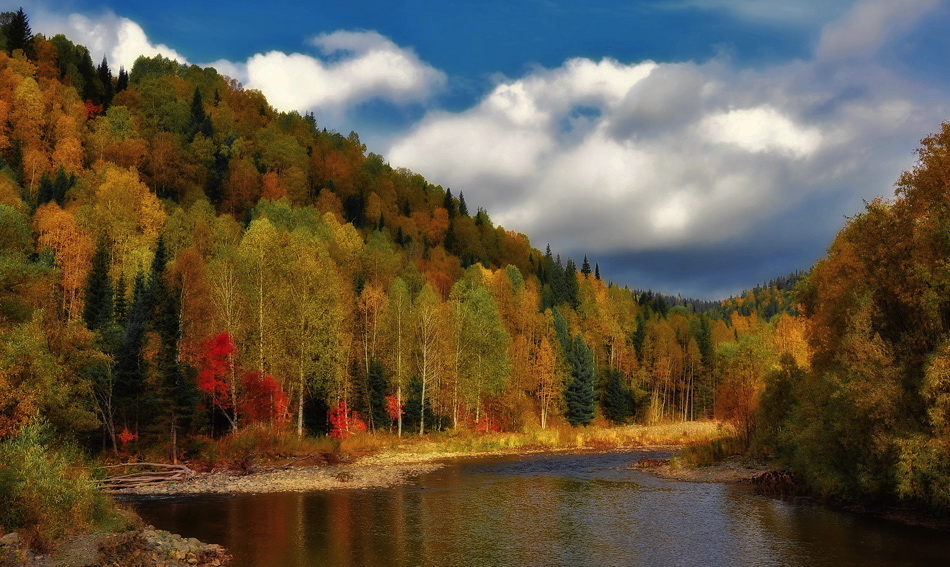 Streicheln das Licht der Herbstblatt ....