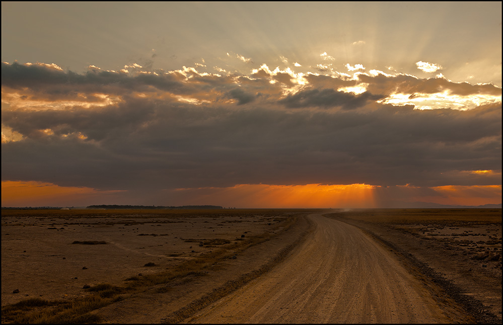 Die gelbe heiße Afrika