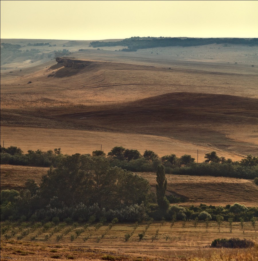 Auf der Erde, auf der Krim