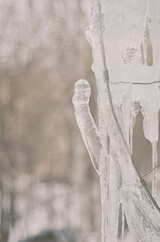 Der Blick aus dem Fenster.