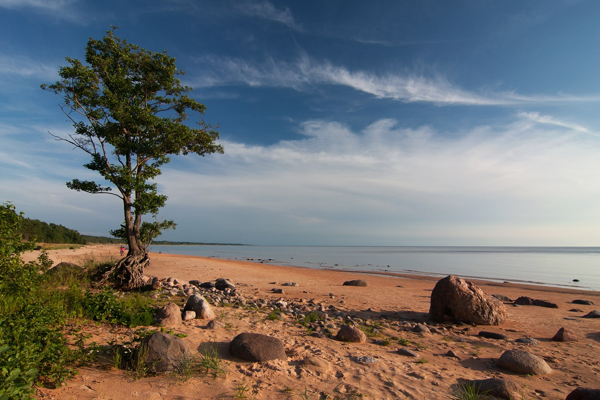 Sentimental Spaziergang