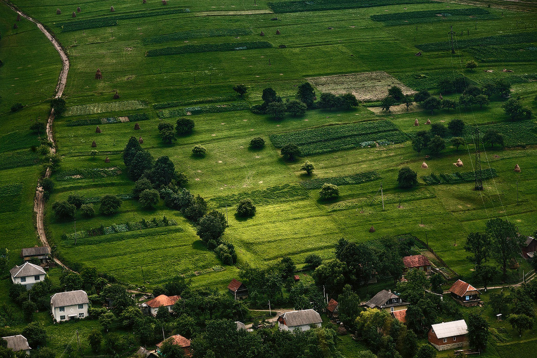 Auf den Hügeln Volovetsky