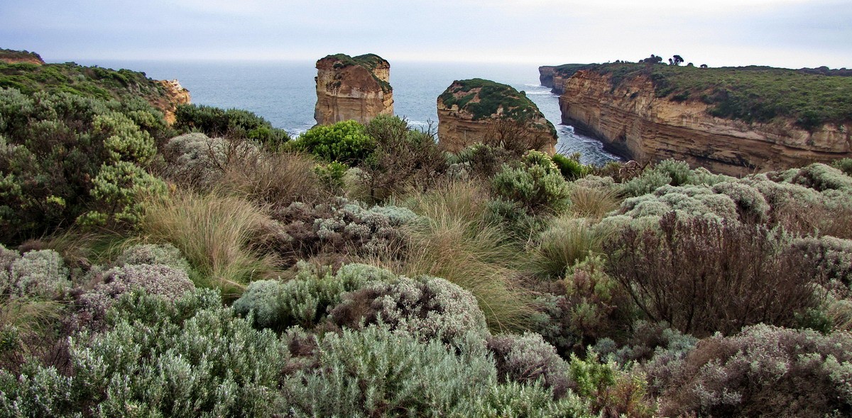 Flora Bank of Australia