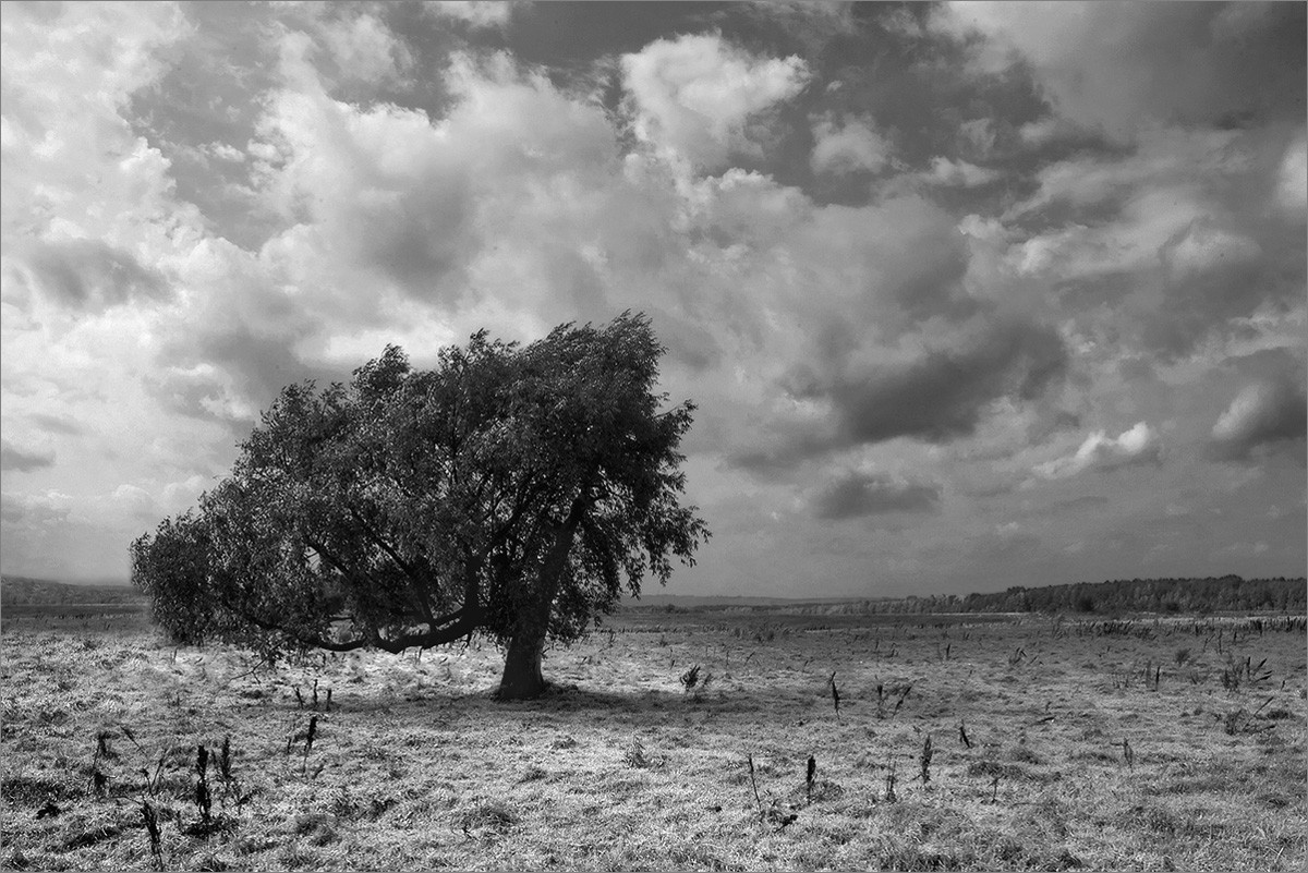 Schwarz und Weiß ...