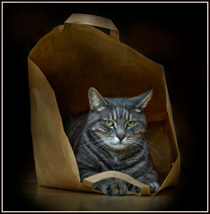 König der Verpackung ....