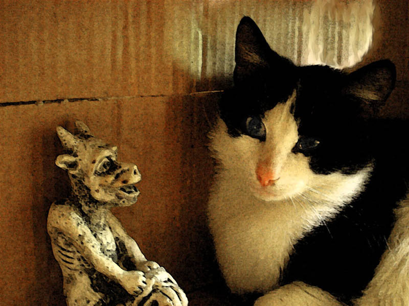 Es gibt kein Glück in der Welt ...