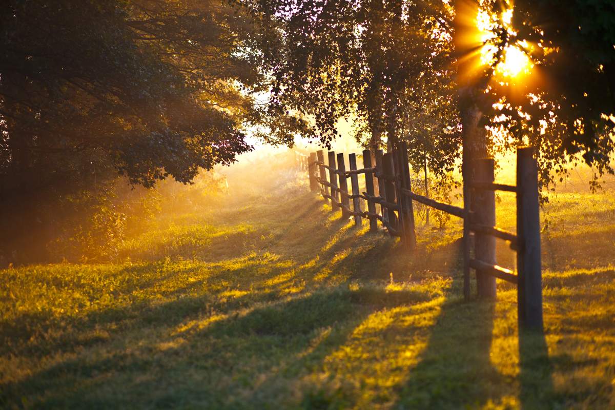 aber ich wusste nicht, dass Dawn so schön ist ....