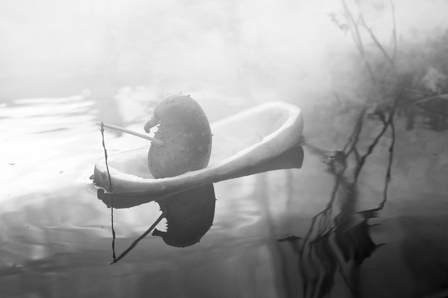 das Leben von Gurken (rybachok)