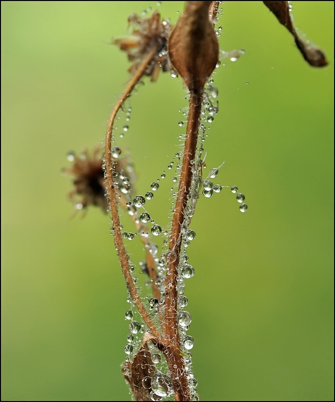 Aufsteckhohlwelle ...