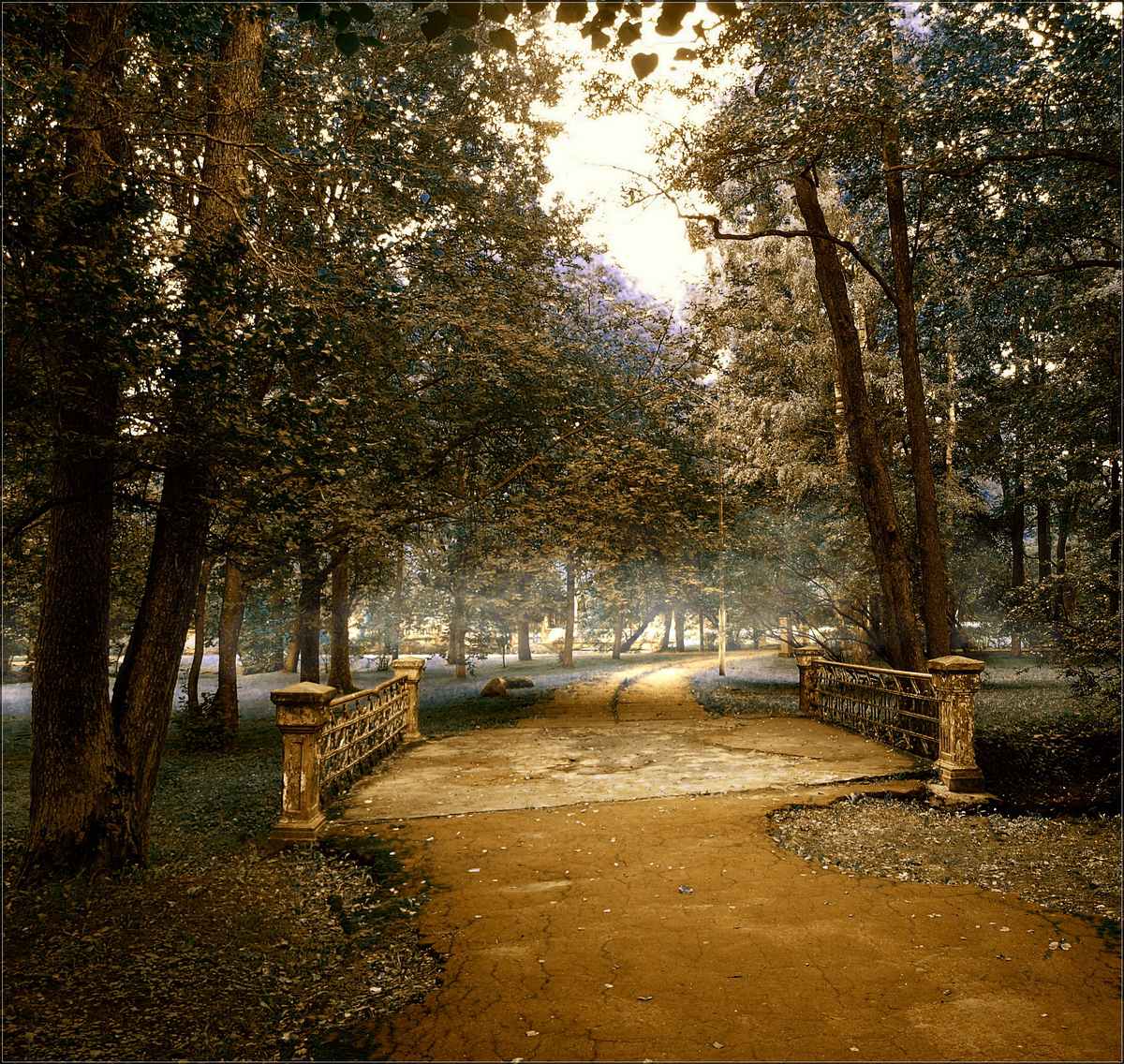 Herbst in der Mitte des Sommers