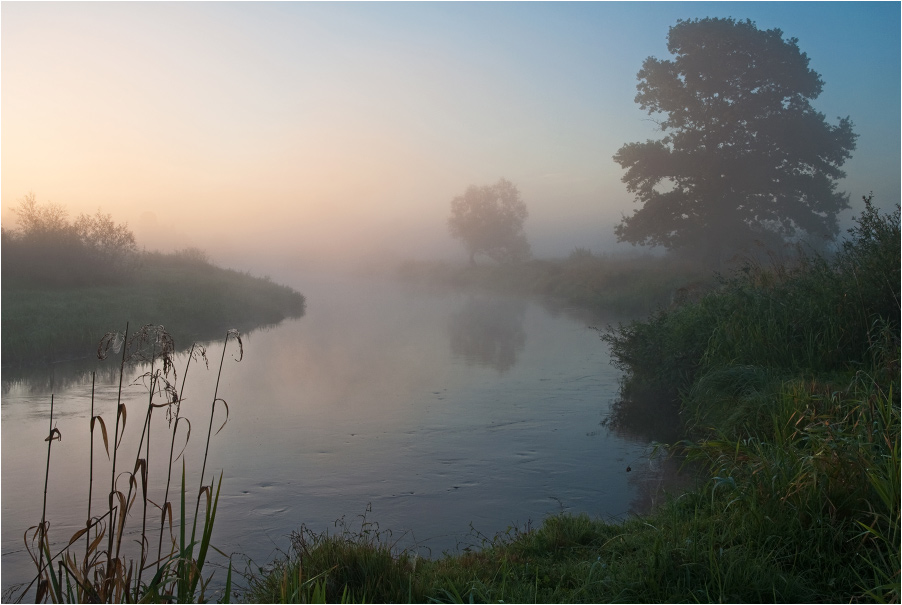 Fluss Nebel