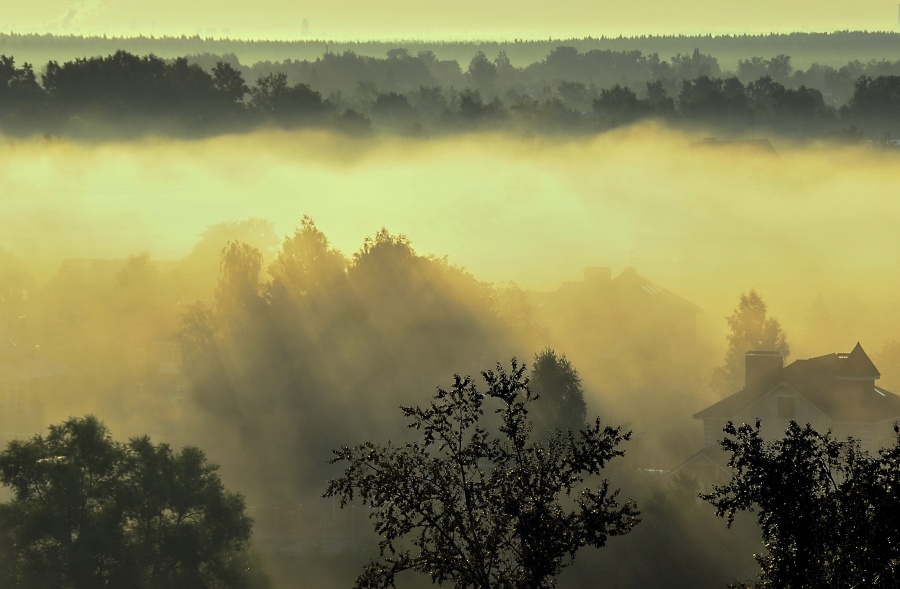 Aus dem Schatten ins Licht fliegen ...