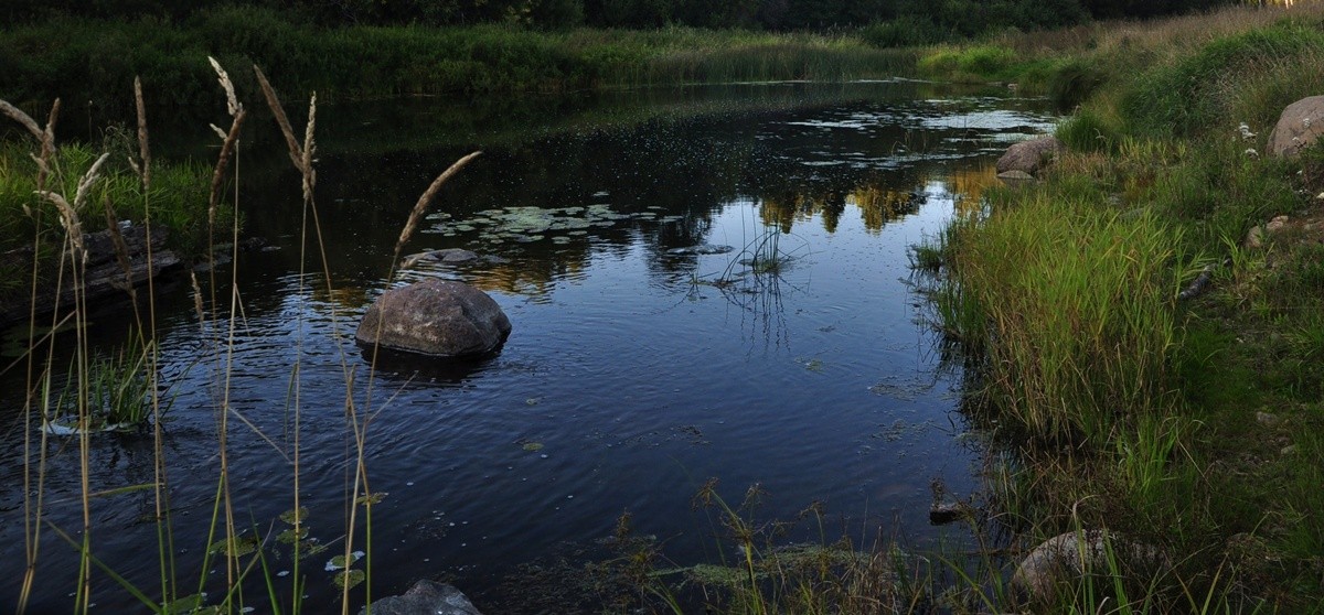 Unberührt von der Zivilisation