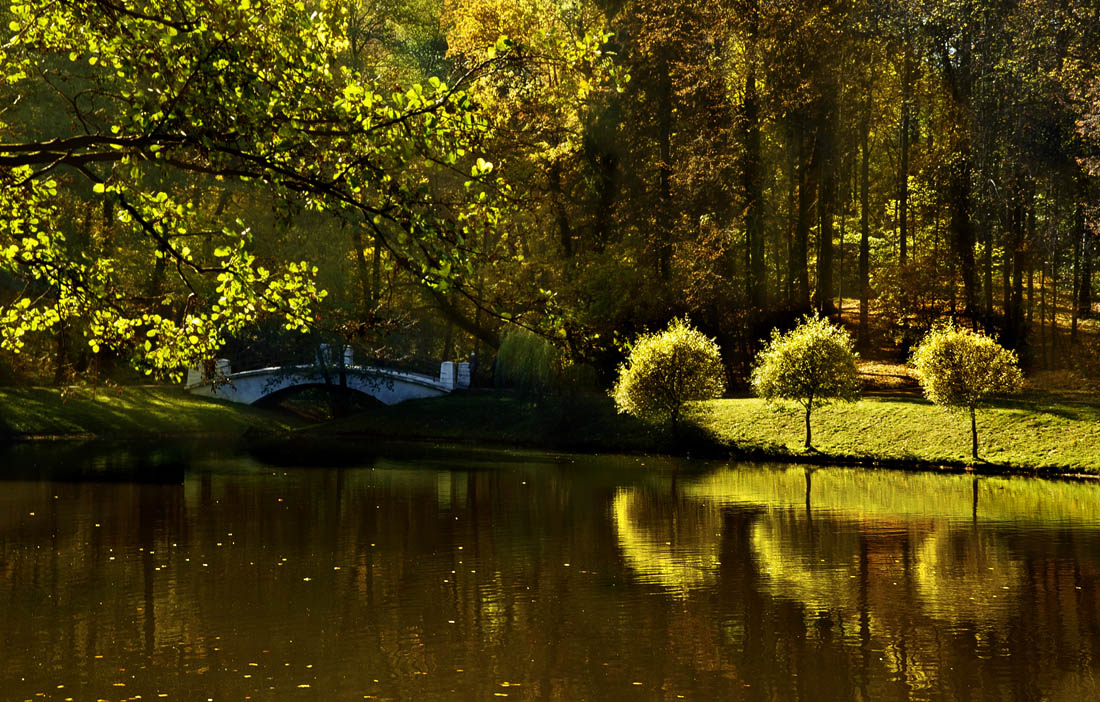 erste Schritte im Herbst