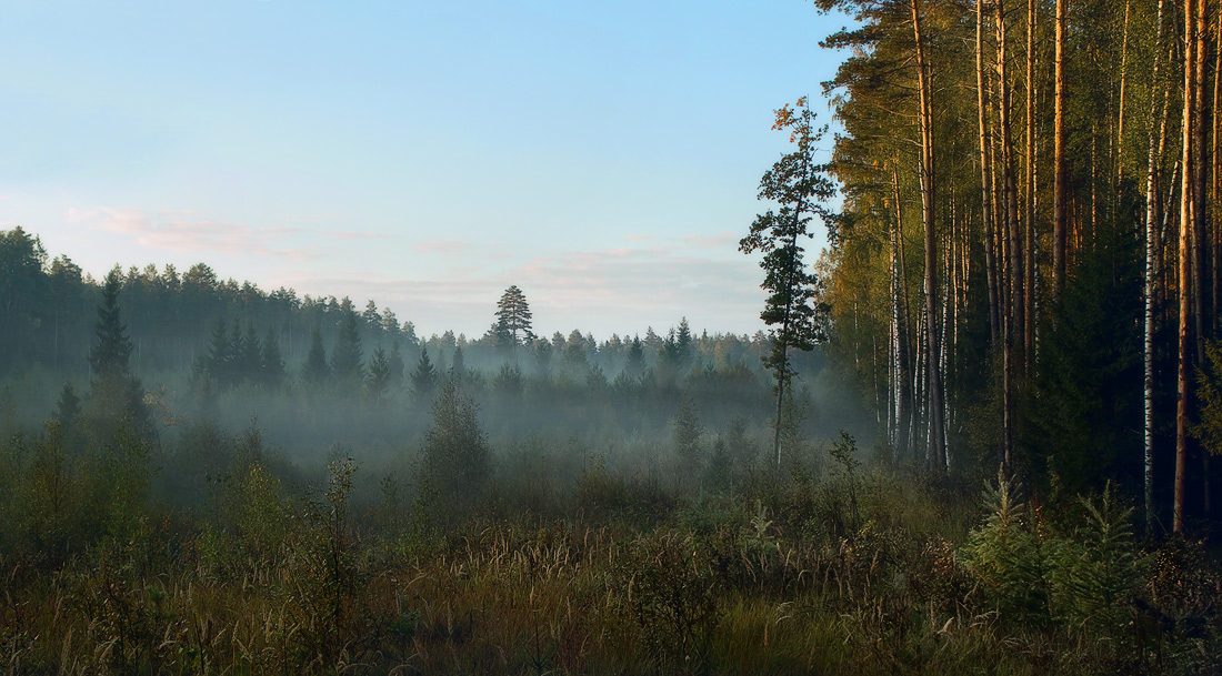 Die ersten Strahlen der