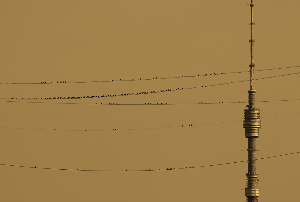 Stave und das Metronom