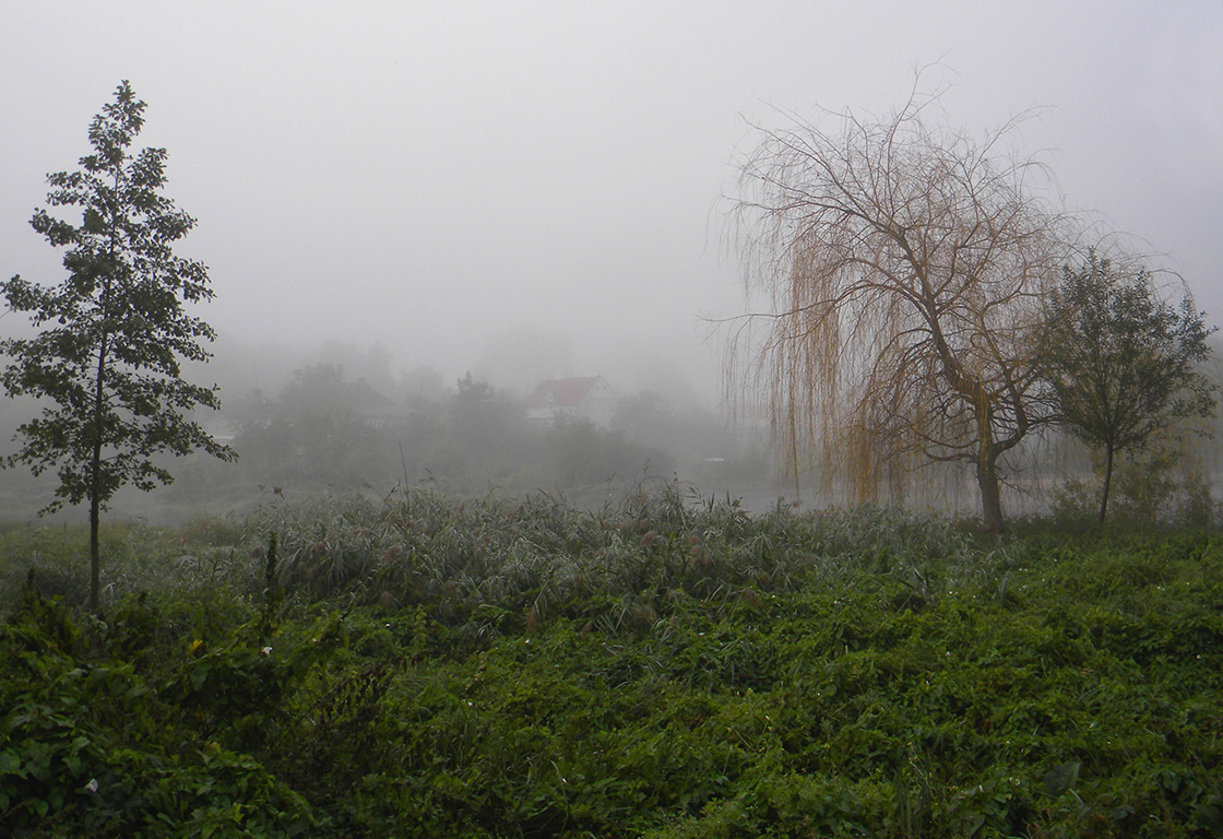 Foggy Landschaft