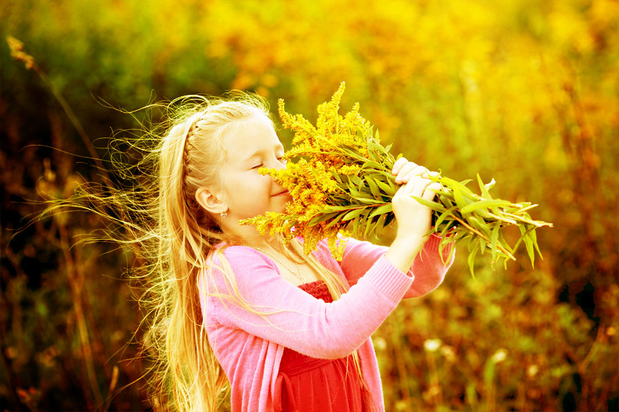 Wenn der Sommer geht .............