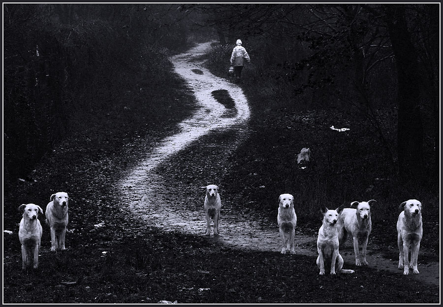 Sie sind nicht allein, im Gegensatz zu Ihnen