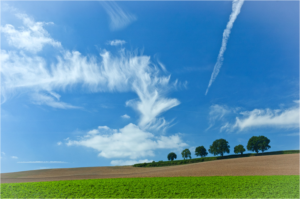 August in der Mitte ...