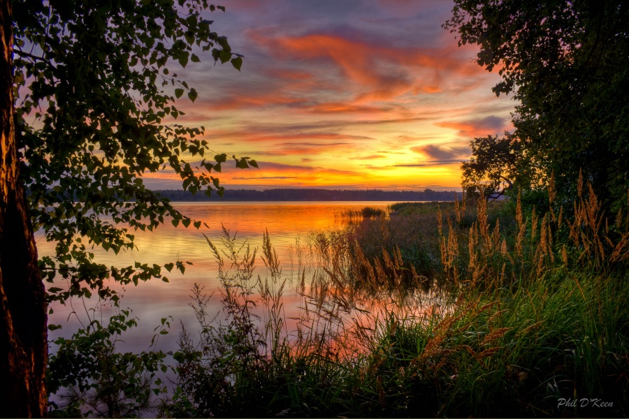 wo Geschichten sind geboren