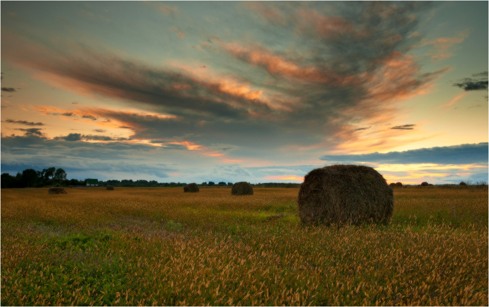 Im vergangenen Jahr Stroh