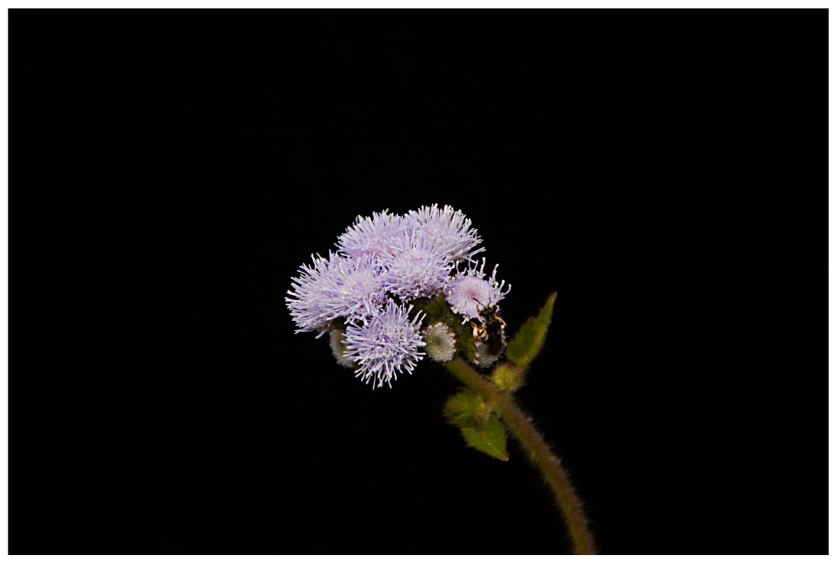 Interessant nächsten