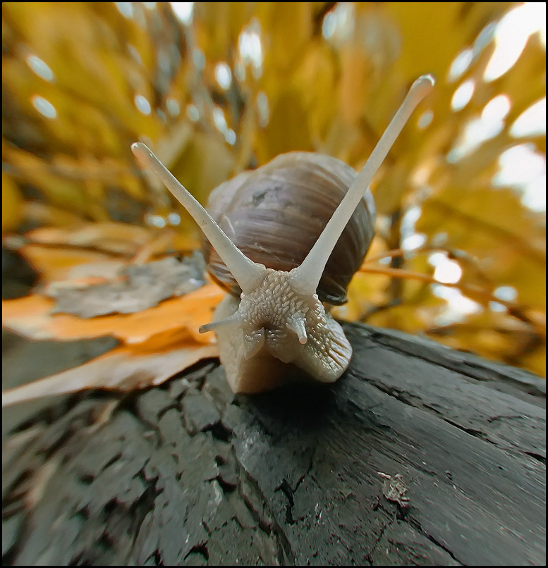 Der Verlust der Schlaf ...