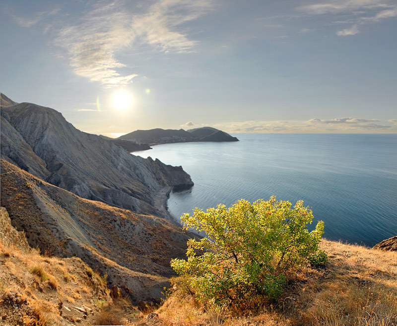 Herbstmorgen Cimmeria