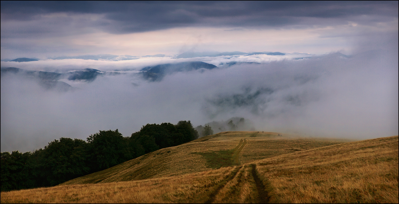 Der Blick vom Grat Svidovetskogo