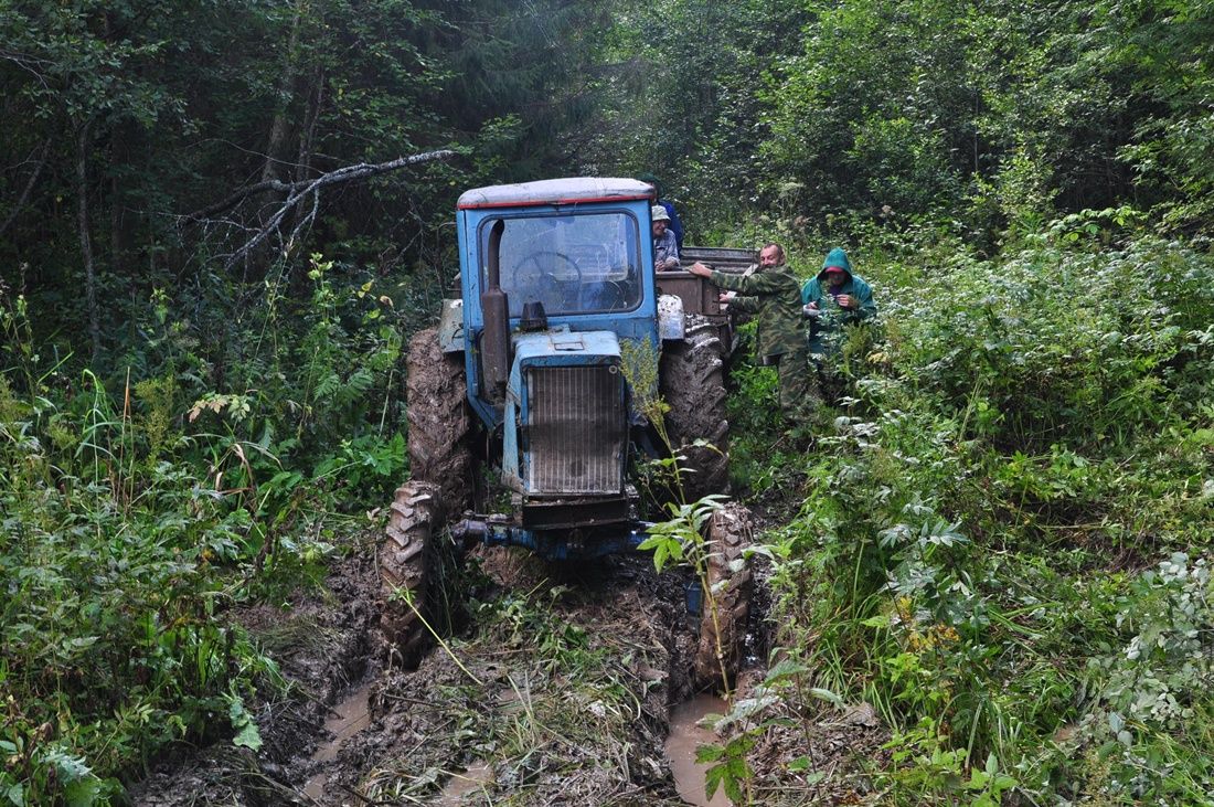 Wir brauchen nicht eine Straße
