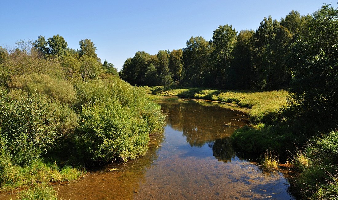 Helles Gesicht der Natur
