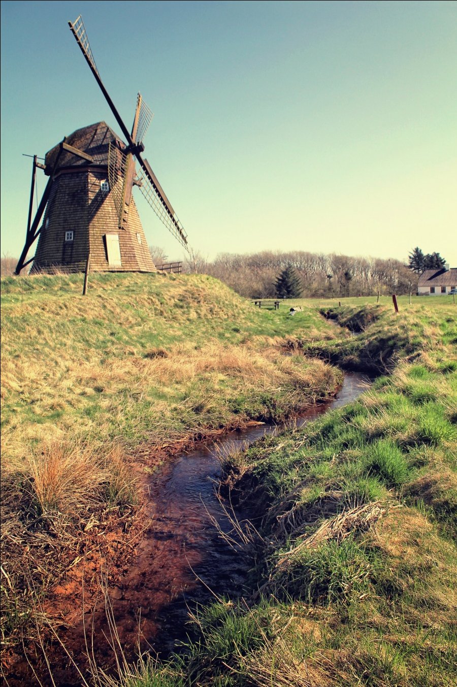 The mill
