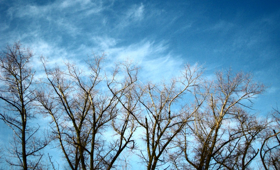 Erreichen Sie den Himmel