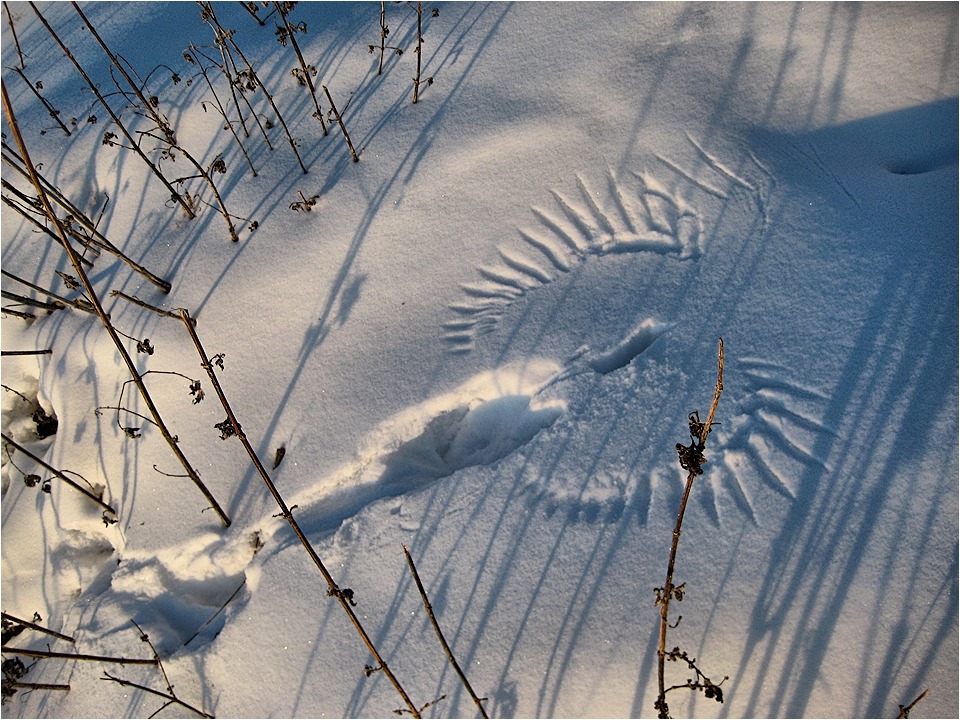 Es war nur eine Spur ...