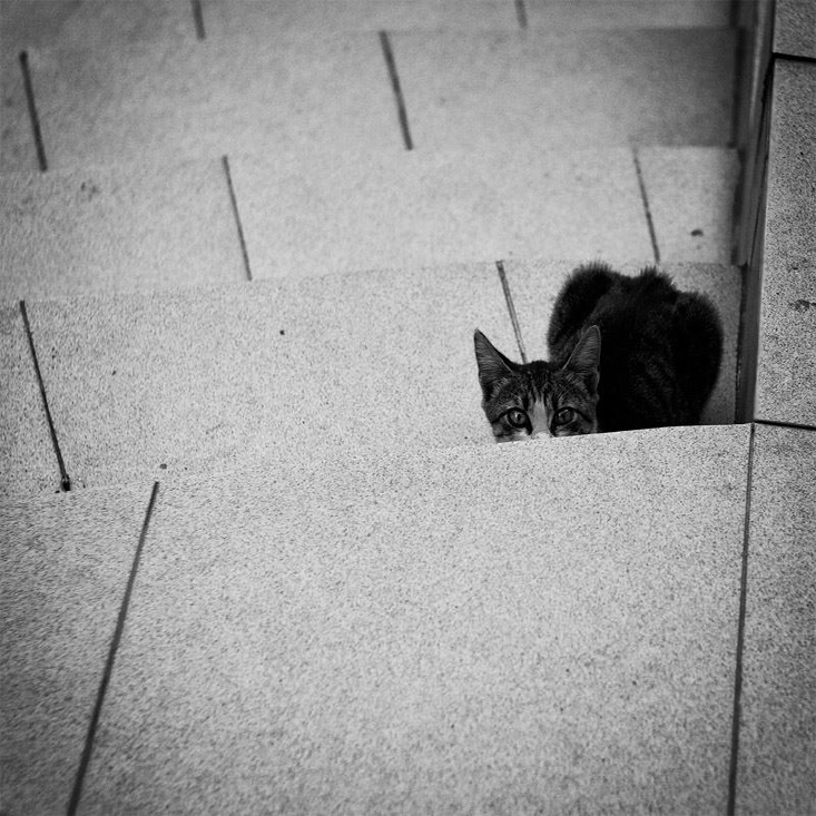 ...... Wer sind Sie?