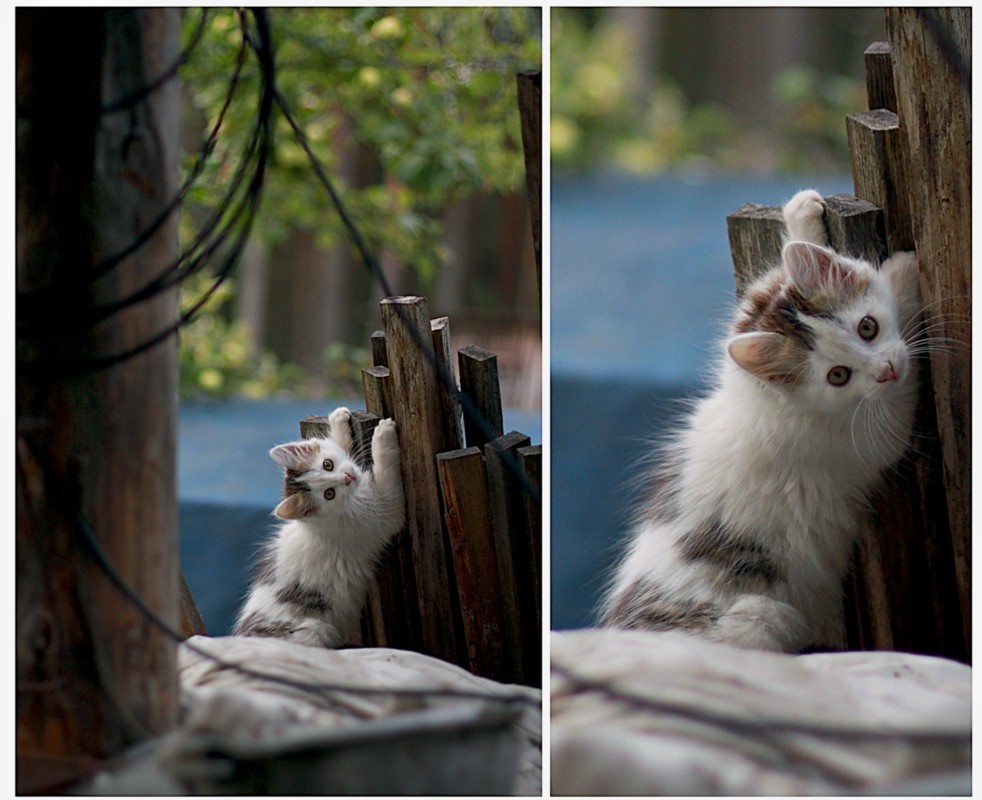 Ein wenig über Ihre Kindheit