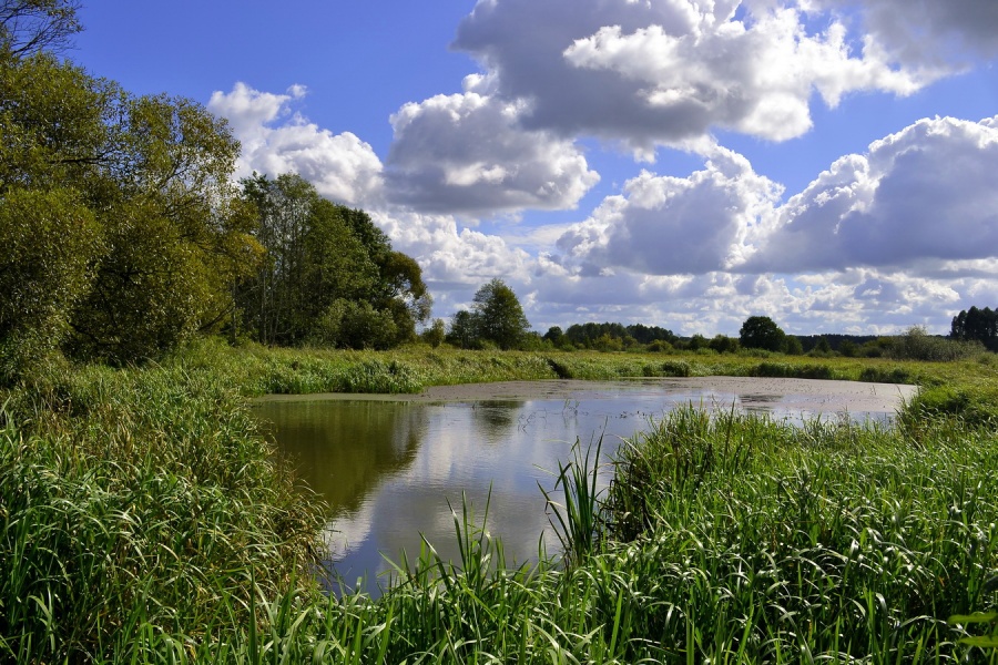 An der Stelle, wo Nieman