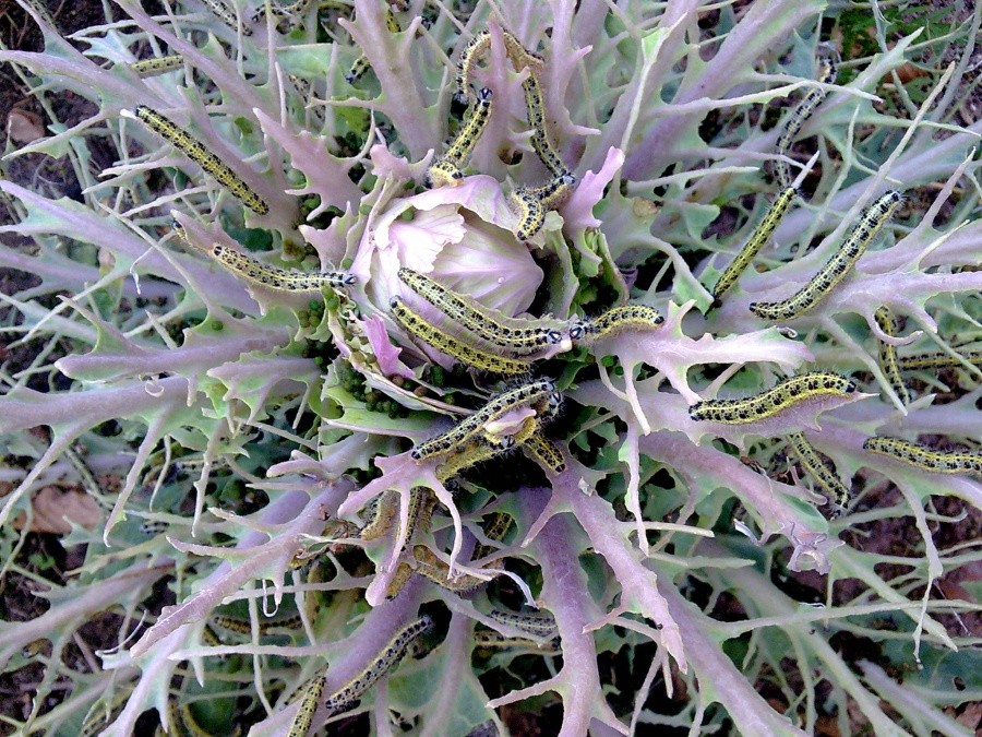 aber das Leben geht weiter ... :)