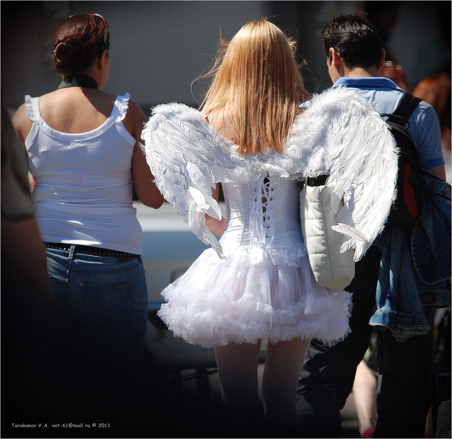 PRO Angelo ... A5 ...