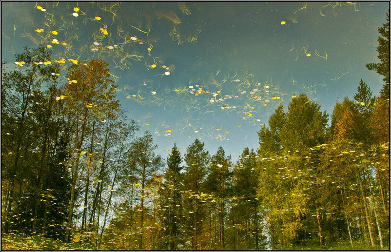 Ich schaue dich an wie ein Spiegel ...