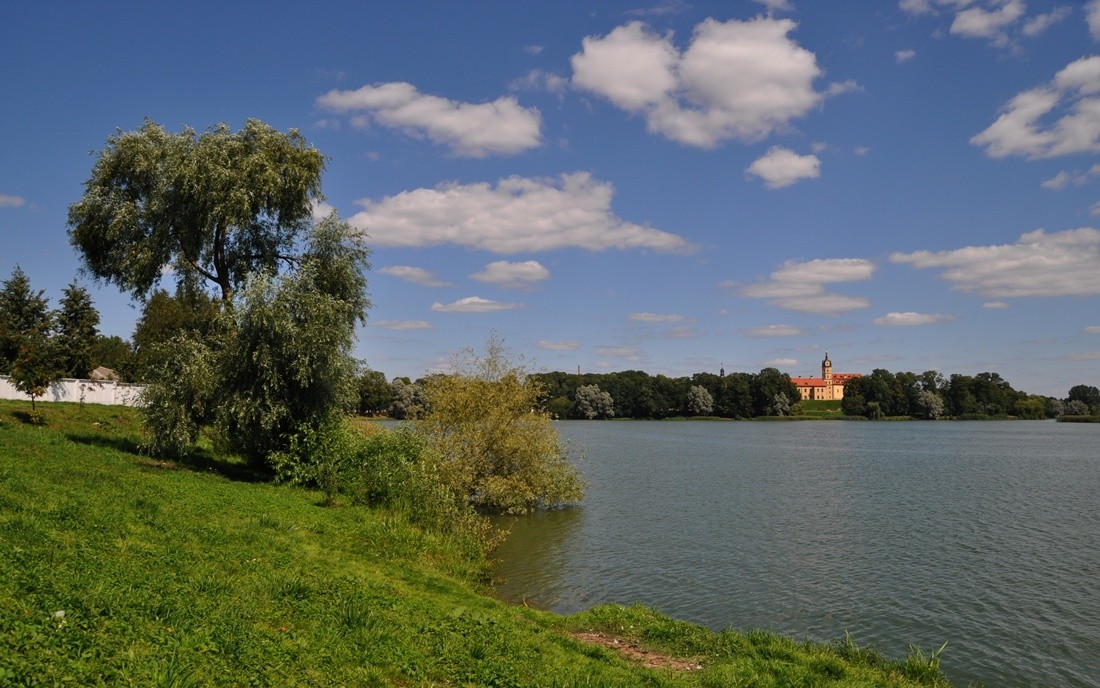 Am Ufer des Teiches (150)