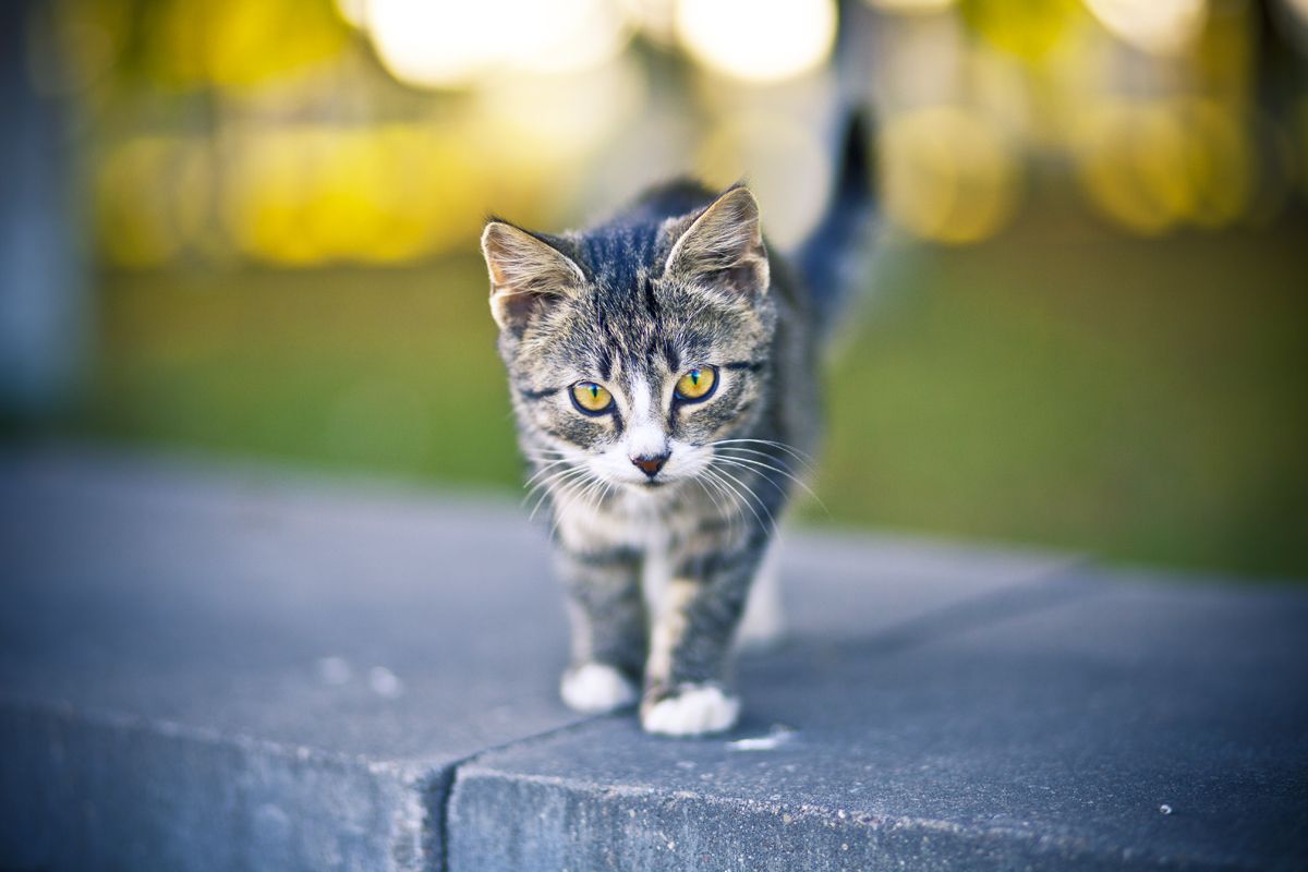 wir nicht vertraut sind ....