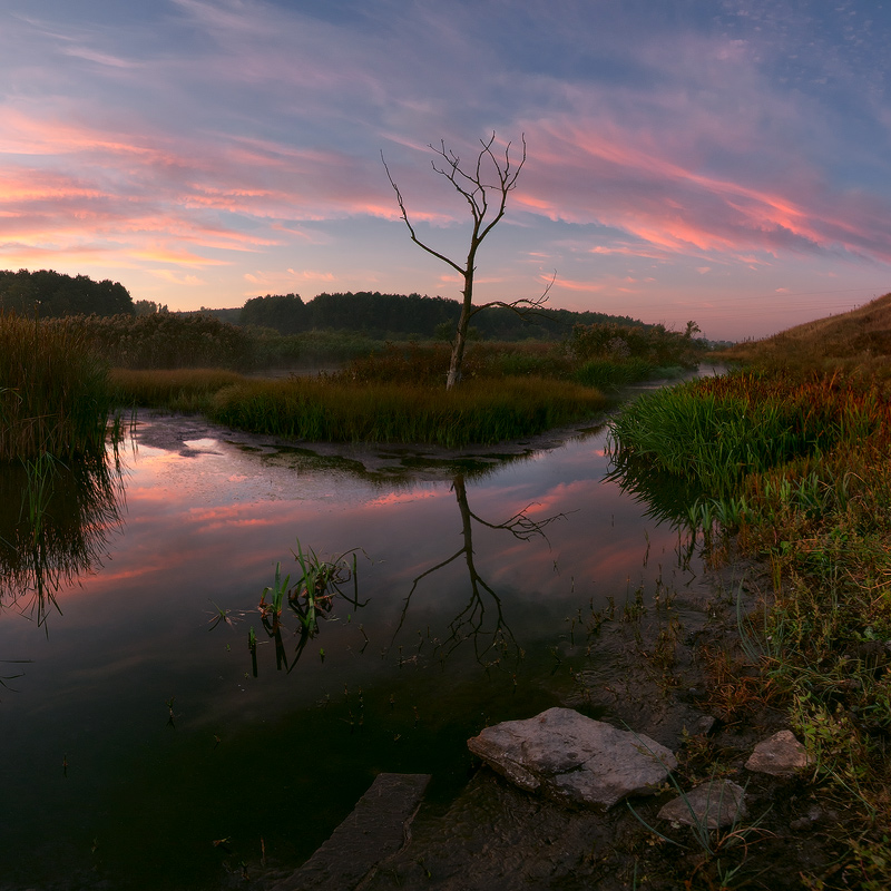 In der Mitte der Morgenröte