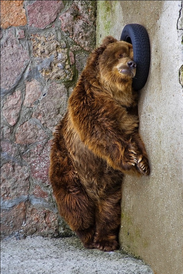 obedenny Pause shinomontazhke ...