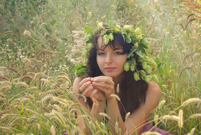 Der Kranz von Hopfen.