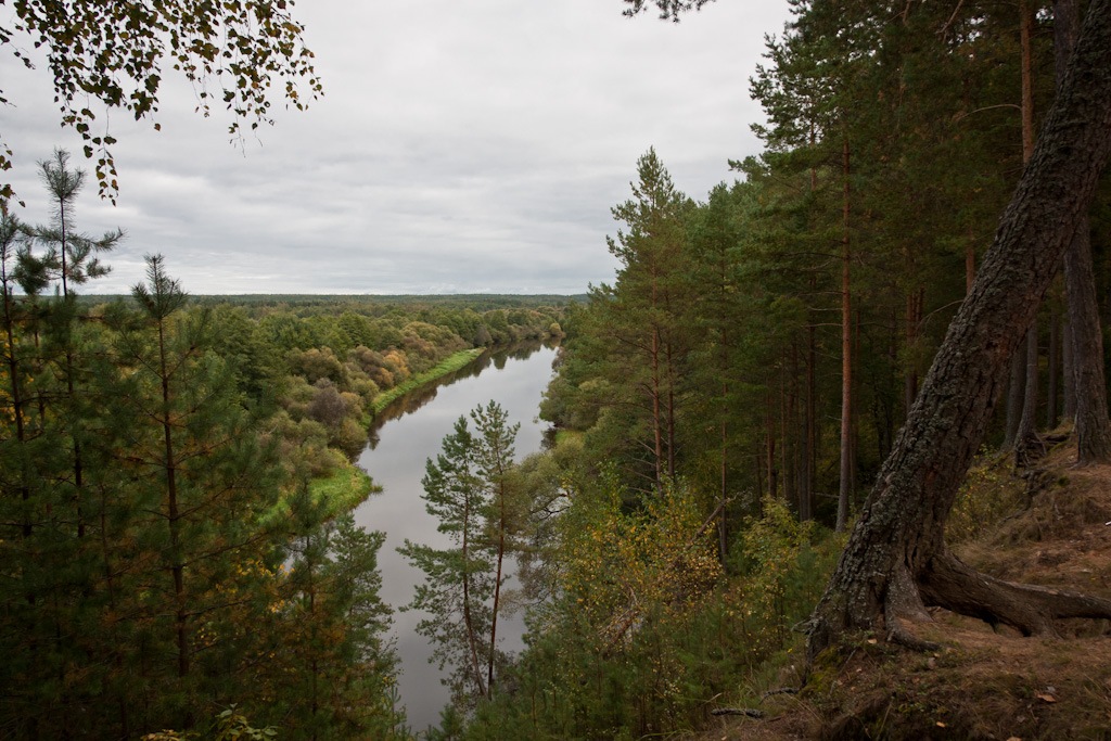 Im Laufe der Beresina